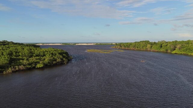 Aerial view of Mandacaru river and mangroves, Brazil.
