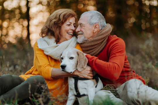 Senior couple walking dog in autumn forest.