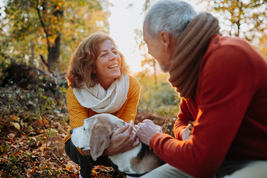 Elderly man and woman walking their dog in nature on autumn day.