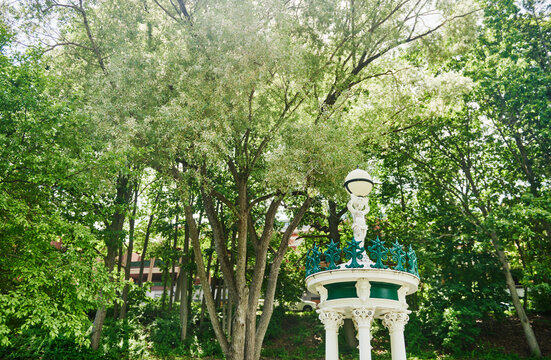 Deer Park Spring fountain located in Congress Park in Saratoga Springs, New York.