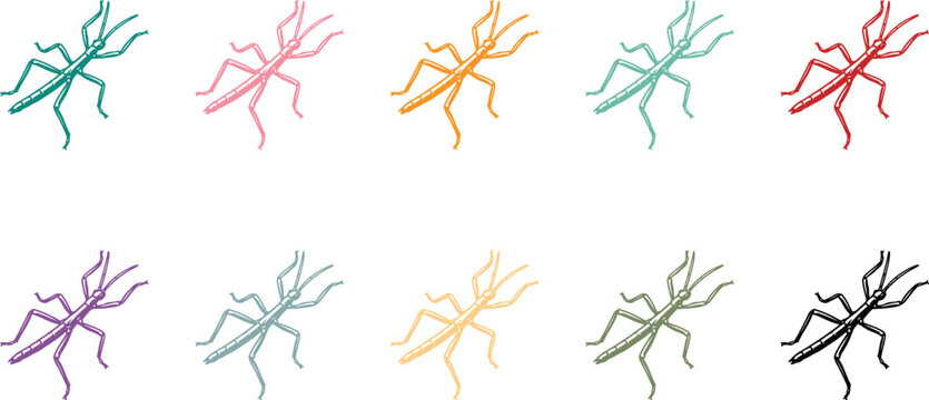 Colorful Stick Insect Illustration Collection Vibrant Bug Set, Multicolor Stick Insect Vector Icons Cartoon Insect Collection
