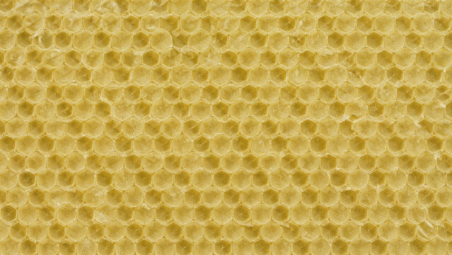 Beeswax texture showing natural hexagonal honeycomb pattern in close up view