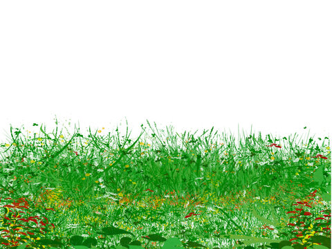 Fresh wild green grass and field flowers border isolated on black background