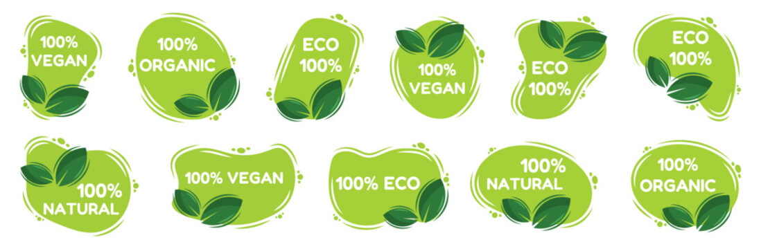 Green eco label collection with leaves and vegan, organic, natural messages for sustainable products, food packaging, environmental branding and healthy lifestyle