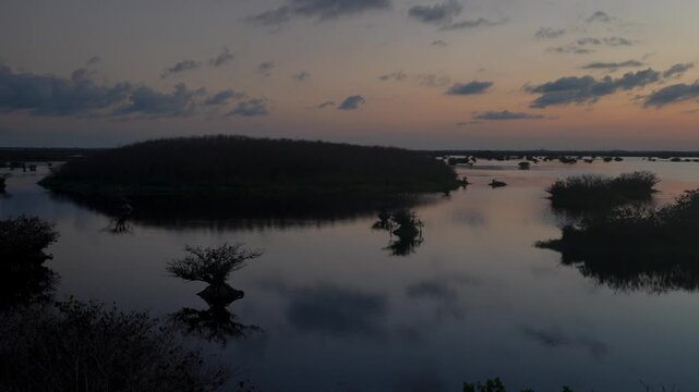 Mangrove trees and shrubs stand in calm shallow water beneath an orange sunset sky. Dark silhouettes, soft clouds, reflections, and open wetlands create a peaceful coastal landscape.