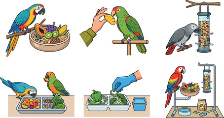 Obraz premium Parrot Feeding and Pet Bird Nutrition Concept Vector Illustration Featuring Exotic Birds, Fruits, and Seeds