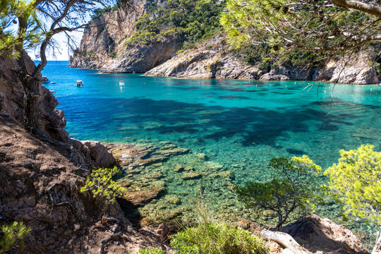 Cala Giverola beach on Costa Brava near Tossa de Mar in Spain