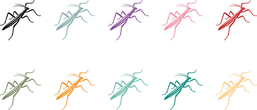 Colorful Stick Insect Silhouette Collection Vibrant Bug Set, Vibrant Stick Insect Silhouettes Colorful Nature Illustration Collection
