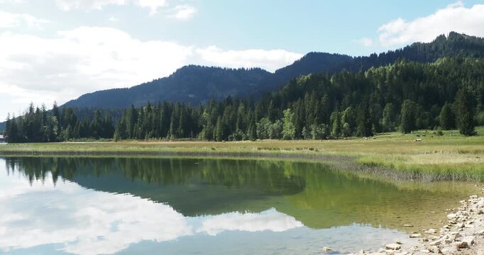 Lake Spitzingsee in the Bavarian Alps. Peninsula on the western shore. Marshes and green meadows bordered by forest
