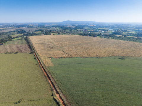 Aerial view of agricultural fields with a dirt road dividing green crops and dry golden pastures under a clear blue sky in Brazil.