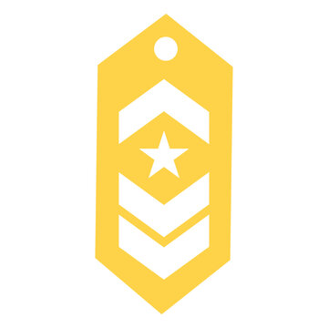Commander military rank silhouette