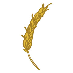 Obraz premium Wheat spike doodle