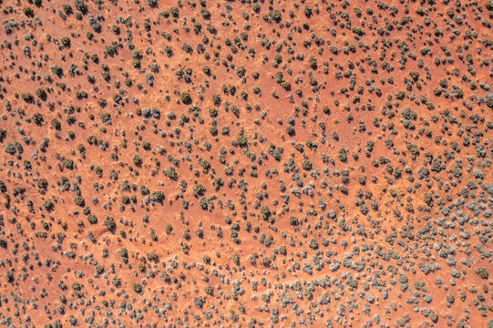 Aerial view of the vast red sand desert landscape of the Australian outback with scattered green shrubs and dry vegetation, Australia.