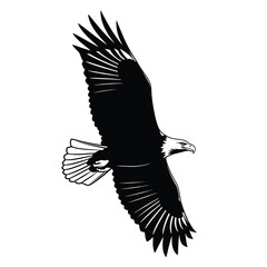 Fototapeta premium Eagle in flight illustration, animated 4k stick video