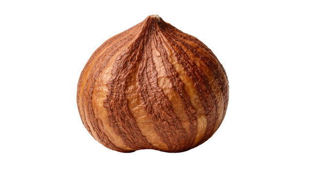 Single whole hazelnut with textured brown shell, isolated on transparent background