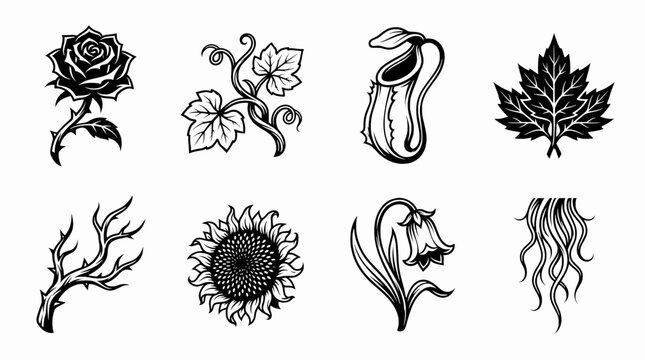 Vintage Botanical Line Art Illustrations Set Featuring Flowers and Leaves in Black and White Engraving Style