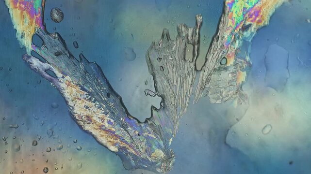 Real time 5x microscope macro of rapid sodium thiosulfate crystal growth filling empty liquid copy space areas under cross polarization with vibrant rainbow interference structures