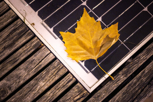 A vibrant yellow Platanus leaf contrasts with a dark monocrystalline solar panel, resting against rough weathered wooden planks under soft natural light in an outdoor setting