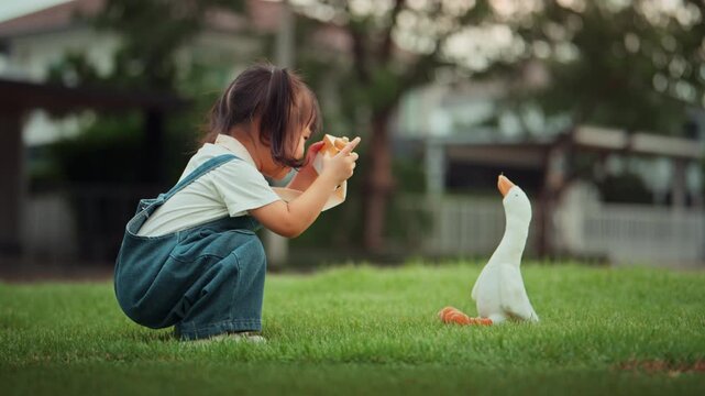 Cute Asian toddler girl crouching on grass and taking pictures of white goose toy with camera outdoors, curious little child practicing photography