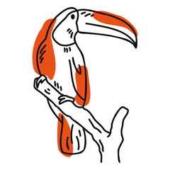 Fototapeta premium Color stroke semi colored toucan