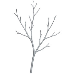 Fototapeta premium Bare Tree Branch Vector Illustration Isolated on White Background