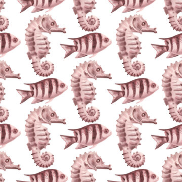 Hand painted watercolor illustration seahorse, fish Sergeant Major Damselfish blush pink seamless pattern. Transparent backgrounds tropical. Artistic marine design coastal decor, stationery creative