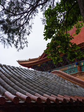 Traditional Chinese temple roof with grey tiles and upturned eaves framed by green leaves