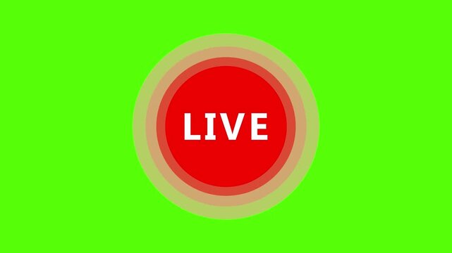 Live Stream sign. Red symbol, button of live streaming, broadcasting, online stream emblem. Alpha channel. For tv, shows and social media live performances. 4k video