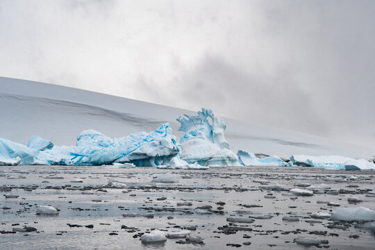 View of icebergs floating in the icy waters with a snowy coastline under an overcast sky in Antarctica.