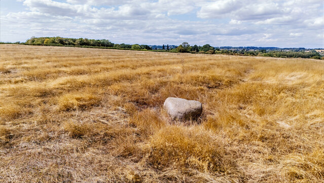 A view of the Judith Stone, a large glacial erratic block located in a ridge and furrow field in Lubenham, Leicestershire in summertime