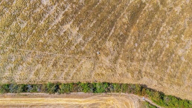 An aerial view high above  the Judith Stone, a large glacial erratic block located in a ridge and furrow field in Lubenham, Leicestershire in summertime
