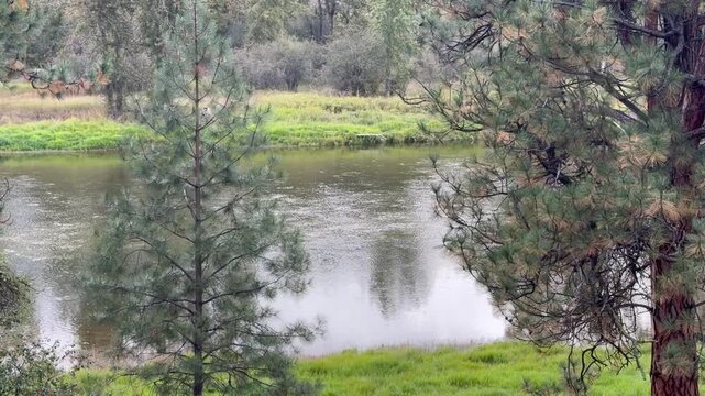 Bitterroot River in early Fall near Missoula, Montana