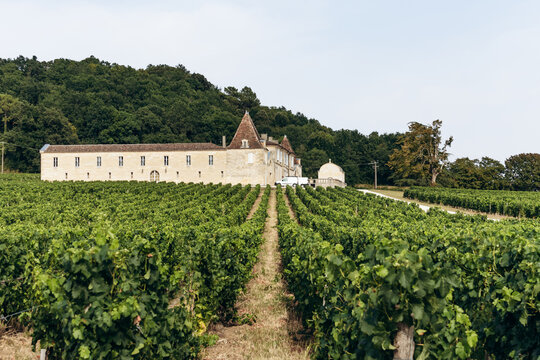 Saint-Hippolyte, France &ndash; July 12, 2026: Chateau Lassegue wine estate and vineyards near Saint Emilion, with its historic stone chateau in the Bordeaux wine region.