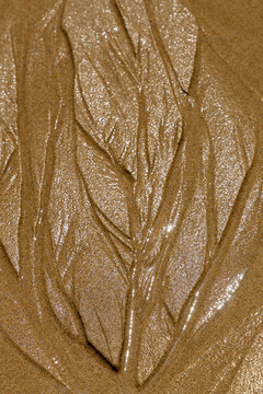 View of intricate patterns formed by water runoff on wet sand at the beach in Malhao, Beja, Portugal.