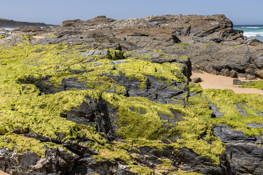 View of moss-covered rocks on a sandy beach along the Atlantic coastline in Malhao, Beja, Portugal.