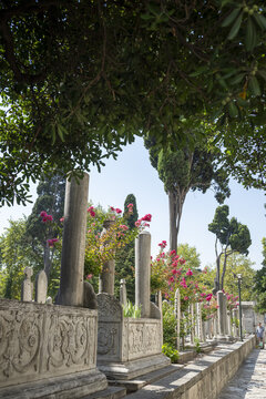 View of historic Ottoman tombstones with intricate carvings surrounded by lush trees and blooming pink flowers in a peaceful cemetery in Istanbul, Istanbul, Turkiye.
