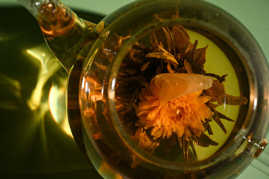close up of blooming flower tea in glass teapot with warm sunlight reflection and green background
