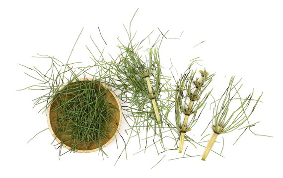 Dried chopped horsetail fern leaves for herbal tea in bamboo bowl isolated on white background, Equisetum arvense, top view