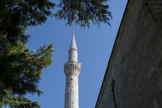 View of a slender stone minaret rising against a clear blue sky, framed by the dark green branches of a coniferous tree and the textured stone wall of a mosque in Istanbul, Istanbul, Turkiye.