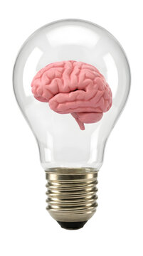 light bulb with brain