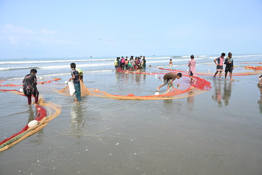 Cox's Bazar District, Chittagong Division, Bangladesh - 14 September 2026: View of local fishermen using large nets to catch fish in the shallow waters of Teknaf Beach.