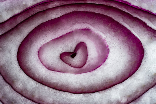 Macro shot of red onion slice with heart shaped center. Closeup texture background of sliced purple onion revealing natural found love heart shape in the core organic food conceptual backdrop