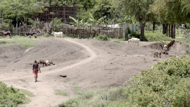 Slow motion shot of a man walking through a Banna village in the Omo Valley of Southern Ethiopia.