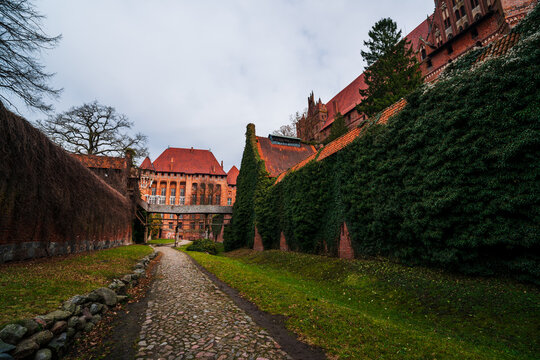 Malbork, Poland - 23 March 2026: View of the historic Malbork Castle featuring red brick walls covered in ivy, a cobblestone path, and an overcast sky.