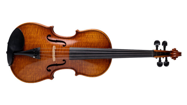 Ornate wooden violin with dark ebony fingerboard and tailpiece, isolated on transparent background