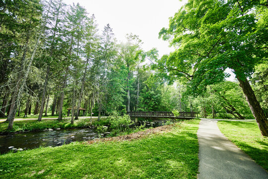 picnic and trail area within Saratoga Spa State Park, Saratoga Springs, New York