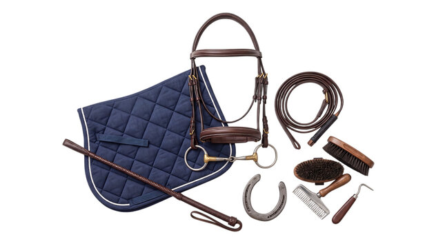 Equestrian horse riding equipment set with pad, bridle, and brush