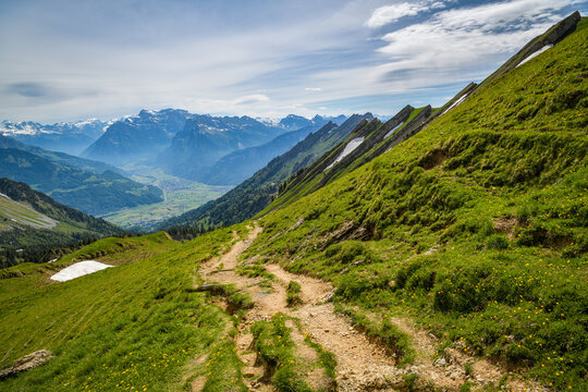Hiking trail traversing a steep green mountainside