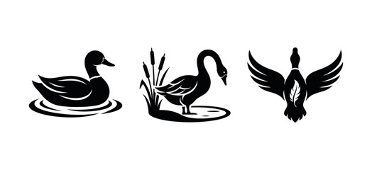 Obraz premium Set of three black and white duck and swan silhouettes in different poses for nature themed graphic design with duck silhouette waterfowl icon bird graphics swimming duck flying duck