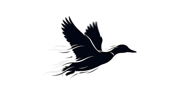Flying duck bird silhouette in motion.